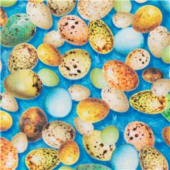 P�jaro Con Manchas Pastel Huevos De Pascua Tela de Quilting Treasures