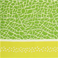 Tela oxford de frutas mel�n amarillo piel verde doble bor Tela de Kokka