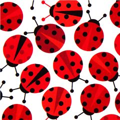 Coccinelle Su Bianco Stretch Tessuto di Robert Kaufman