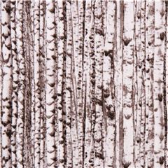 Tela naturaleza gris blanco abedul �rbol Tela de Elizabeth's Studio