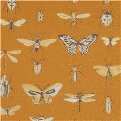 Polilla Mariposa Insecto Entomolog�a Estudio Tela de Stof France