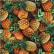 tropisch Ananas Obststoff Restst&Atilde;&OElig;ck