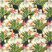 Tucanes Tropicales Follaje Brillante