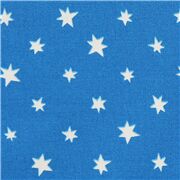 White Six Point Stars on Blue