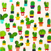 Coraz&oacute;n De Cactus Plantas De Interior Stretch