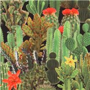 Tela negra de Jap&oacute;n con cactus verdes y flores