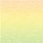 pastel color ombre fabric by Timeless Treasures 