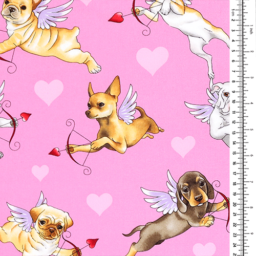 Amour De Chiots Cupidons Chiens 1