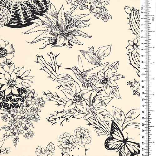 Hacienda Cactus Papillon et Libellule Illustrés 1