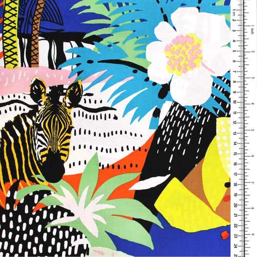 Disco Oasis Jungle Safari Colorée 1