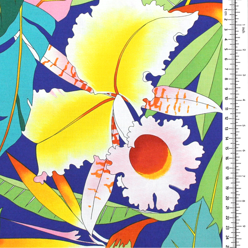 En el Copa Flores Tropicales 1