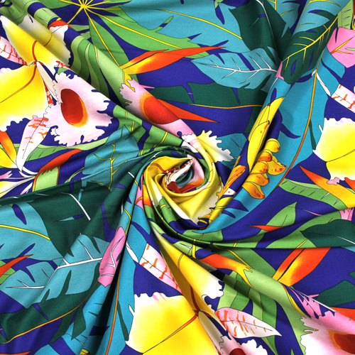 En el Copa Flores Tropicales 2
