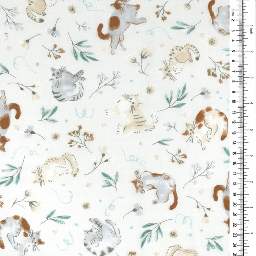 Temps De Jeu Du Chat Plantes De Jardin 1