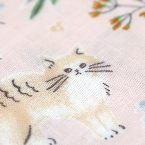 Cat Play time Garden Plants 5