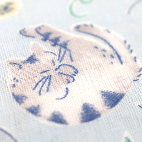 Temps De Jeu Du Chat Plantes De Jardin 5