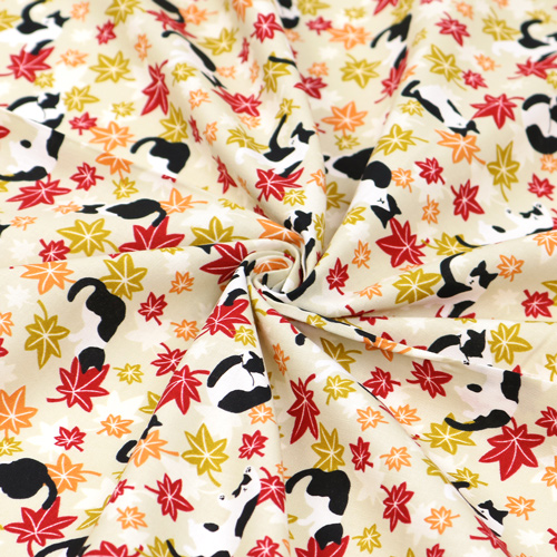Cat Maple Leaves Autumn Fall 2