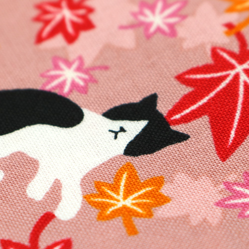 Chat Feuilles D’�rable Automne 5