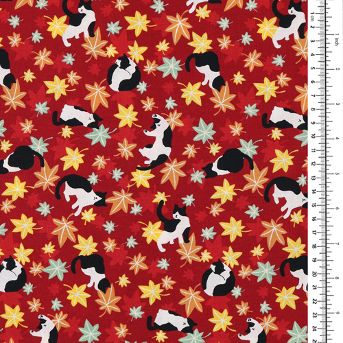 Chat Feuilles D’�rable Automne 1