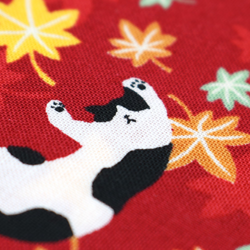 Chat Feuilles D’�rable Automne 5