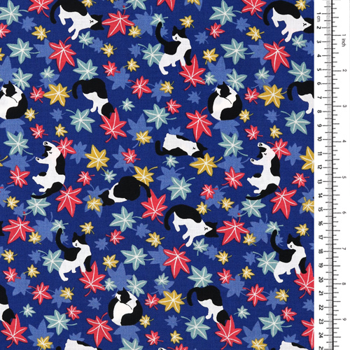 Chat Feuilles D’�rable Automne 1