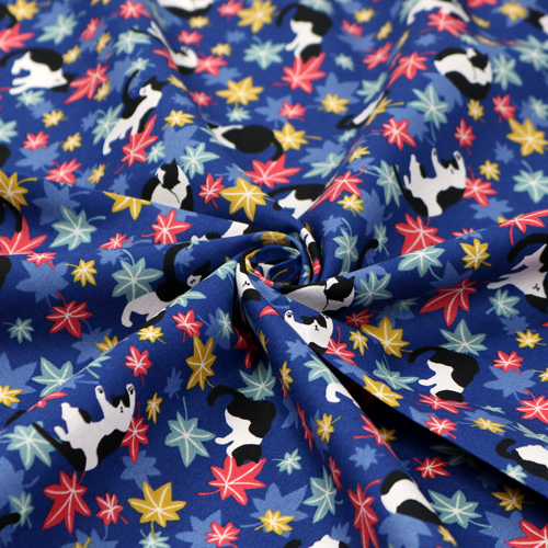Chat Feuilles D’�rable Automne 2