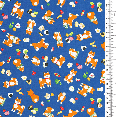 Chien Shiba Inu Bento Déjeuner 1