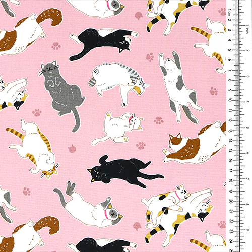 Paw Print Stretching Playing Cats 1