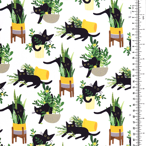 Juste Ronronplanté Chats Plantes En Pot 1