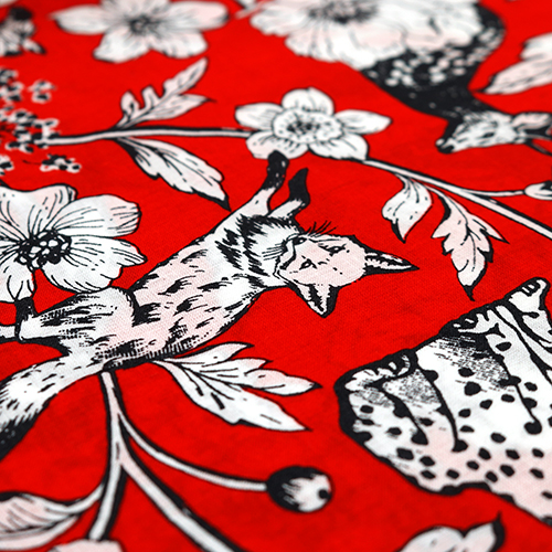 Merveille Plantes Animaux Illustrés 5