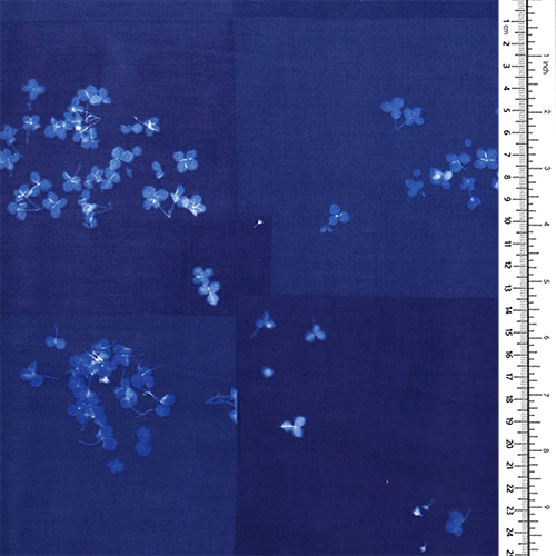 Winzige Verblichene Blumen im Microcosmos 1