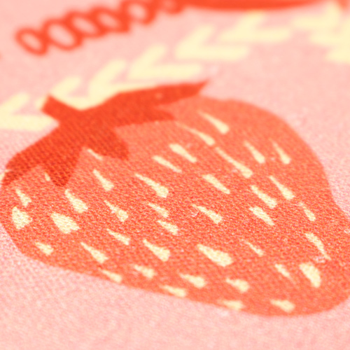 Carmen Fun Fruity Frames Fabric Godmother 5