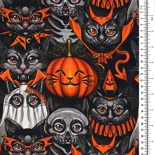 Fiesta De Disfraces De Gato De Halloween 1