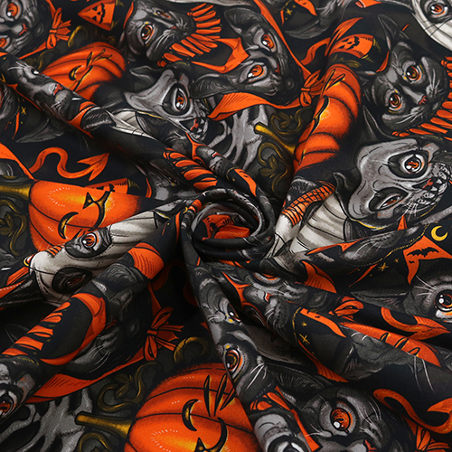 Fiesta De Disfraces De Gato De Halloween 2