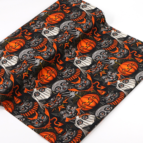 Fiesta De Disfraces De Gato De Halloween 3