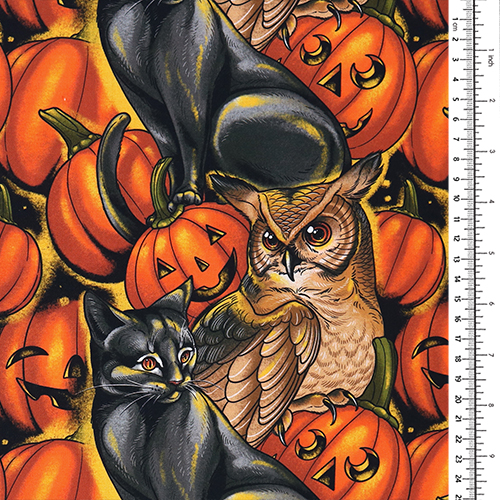 Halloween Owls Pumpkin Party Cats 1