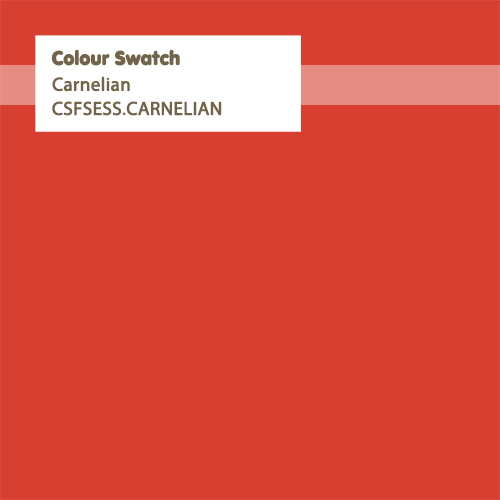 Carnelian Orange - Tula Pink Solid 4