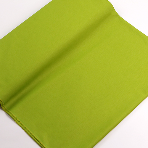 Matcha Green - Tula Pink Solid 2