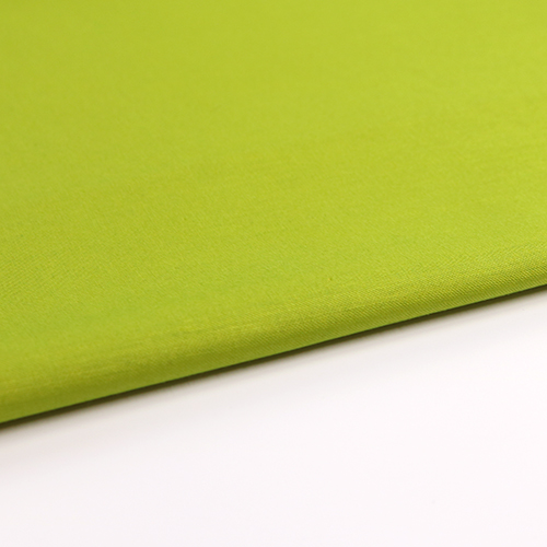 Matcha Green - Tula Pink Solid 3