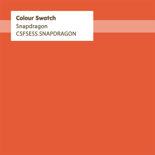 Snapdragon Orange - Tula Pink Solid 4