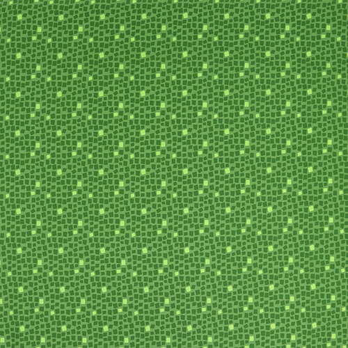 Grüne Trittsteine Chromatics Blender 4