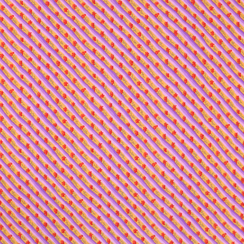 Pavot Orange Diagonal Kaffe Fassett Des Archives 4