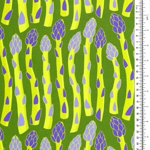 Vegetable Patch Home Grown Asparagus 1