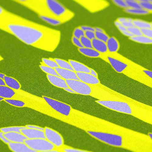 Vegetable Patch Home Grown Asparagus 5