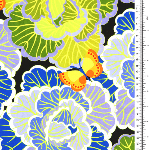 Vegetable Patch Home Grown Cabbages 1