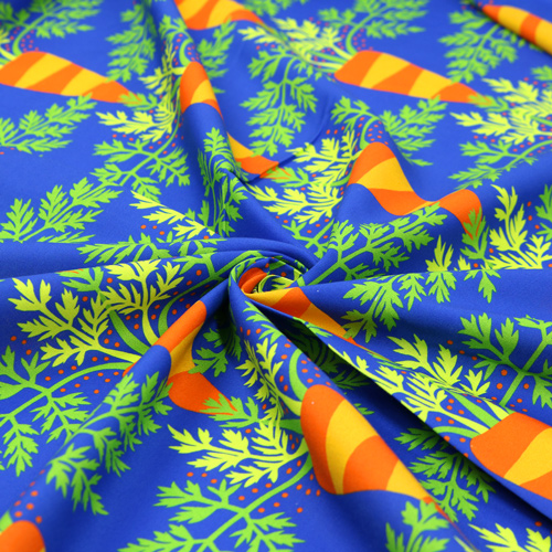 Vegetable Patch Home Grown Carrots 2