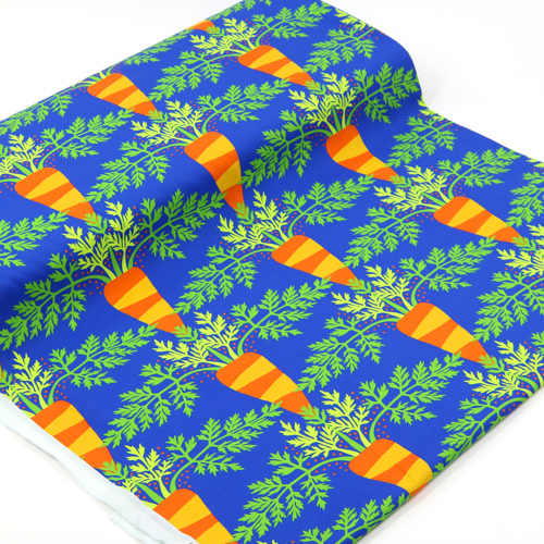 Vegetable Patch Home Grown Carrots 3