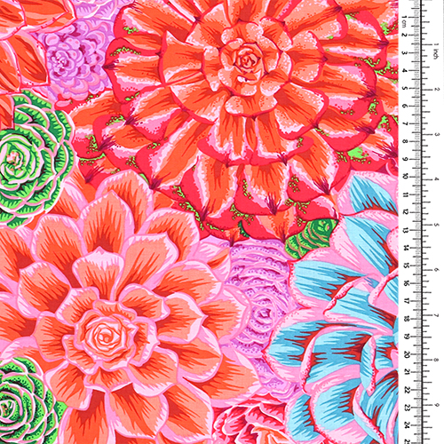 Kaffe Fassett Kollektiv Hauswurz 1