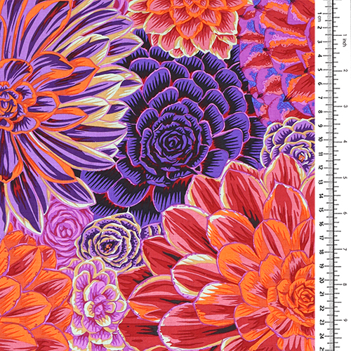 Collectif Kaffe Fassett Joubarbes 1