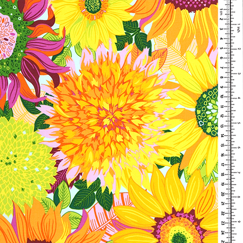Italienische Sonnenblumen La Dolce Vita 1