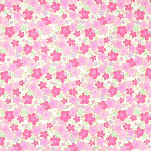 Goldene Sakura-Blte Kyoto Frhling Wei 4